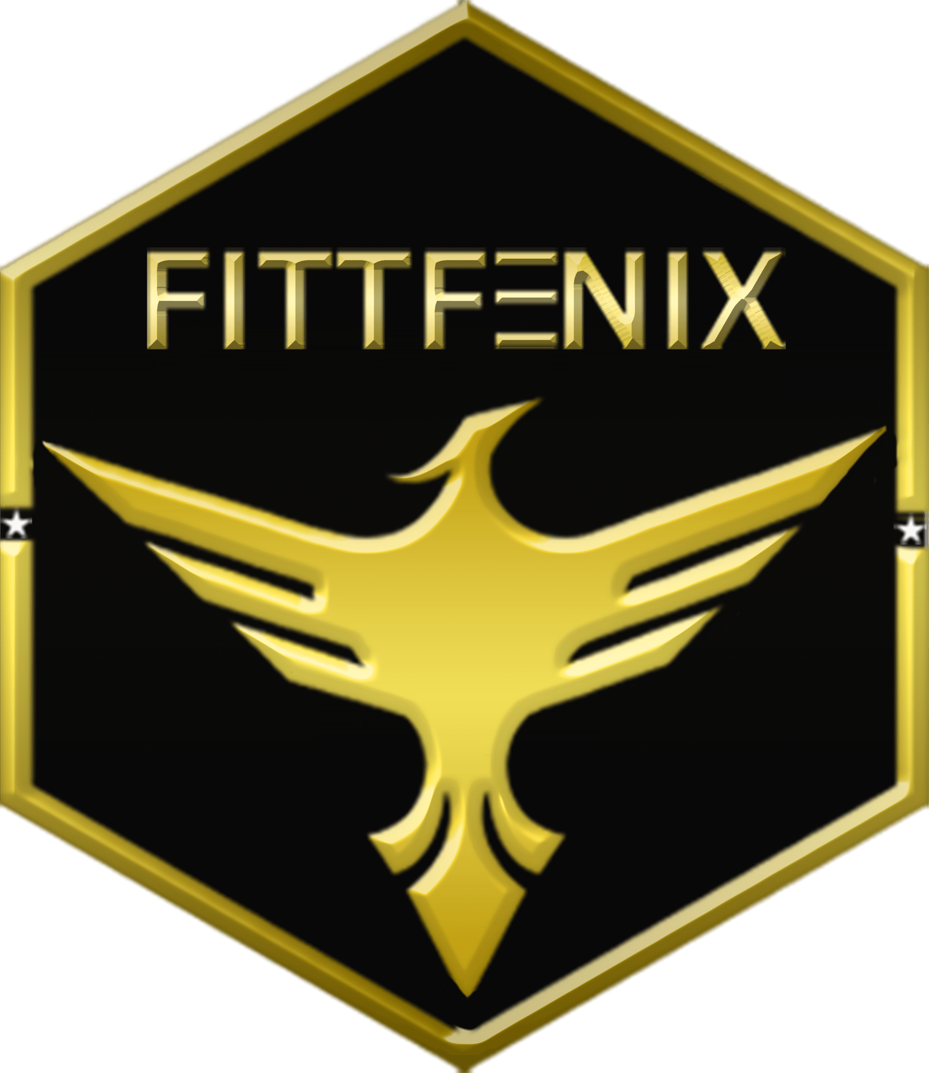 FittFenix